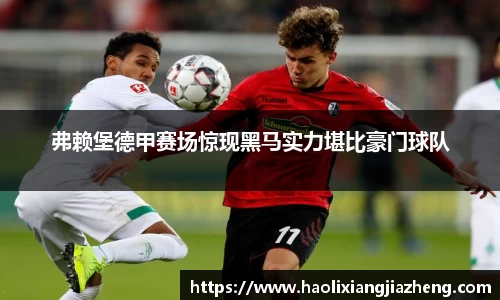 弗赖堡德甲赛场惊现黑马实力堪比豪门球队