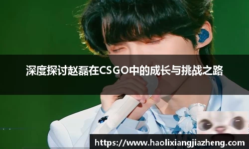 深度探讨赵磊在CSGO中的成长与挑战之路
