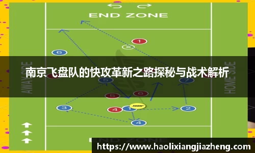 南京飞盘队的快攻革新之路探秘与战术解析