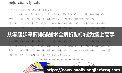 从零起步掌握排球战术全解析助你成为场上高手
